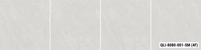 QLI-8080-001-SM